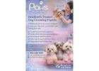Premier Dog Grooming Across the GTA | Paws in the Bath