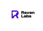 PPC Advertising Agencies - Raven Labs Australia