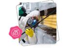 Pest Control SEO Company – Trusted Dubai SEO Company