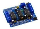 DIY Kits and Development Boards