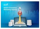 Ecommerce Solutions Company for Online Business