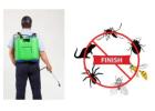 Expert Rural Pest Control Services for Effective Wildlife Management in NSW