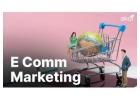 Ecommerce Website Development Company for Online Stores