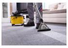 Same Day Carpet Cleaning in Allentown PA