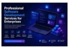 Professional Software Development Services for Enterprises