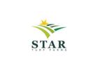 High Quality Turf Provider for Reliable Lawn Solutions