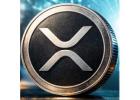 Polkadot Staking: Earn Passive Rewards with Smart Crypto Investments