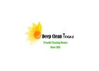 Deep Clean Texas