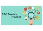 Top SEO Service Providers for Higher Traffic & More Leads