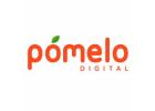 Tech Platform Development Company in Gurugram | Pomelo Digital