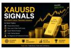 Best XAUUSD Trading Signals Provider for Gold Traders