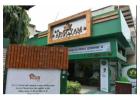 Ayurvedic Doctor in Varanasi Specialized Kidney Care