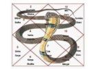 Baglamukhi Anushthan in Ujjain powerful puja booking
