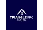 Triangle Pro Painting