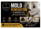 Mold Remediation