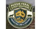 Expert Rural Pest Control Services for Complete Farm Protection Across NSW