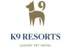 K9 Resorts Luxury Pet Hotel Sugar Land