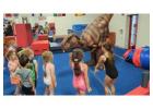 Bring Prehistoric to Life with an Interactive Dinosaur Encounter Nobody Forgets