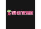 Team Gale Tree Service