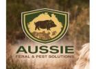 Advanced Vertebrate Pest Management Solutions for Farms Across NSW