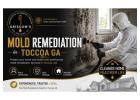 Mold Remediation in GA