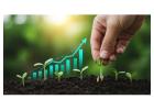 Agriculture Growth Strategy Consulting