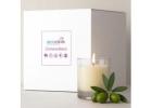 Candle Making Kit for Beginners & Professionals | Resinarthub.ae