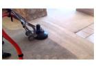 Professional Carpet Cleaning in Southeastern Michigan Rochester Hills