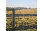 Professional Agricultural Fencing Services in Ohio