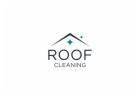 Moss Removal Roof Mosselbay