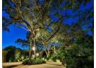 Outdoor Lighting in Miami