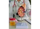 Ayurvedic Kidney Treatment Delhi Natural Care BK Arogyam & Research Pvt Ltd