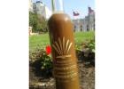 R. Ayahuasca Tea Online | Overnight Delivery