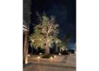LED landscape lighting Coral Gables