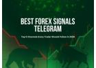 Best Forex Signals Telegram Channels