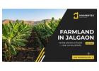 Explore Agricultural Land in Jalgaon — Verified Fertile Farm Plots | Propertzz