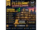 Commercial Property in Sector 67 Gurugram | DLF Central 67 SCO Spaces