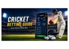 Finding the Best Cricket Betting App in India