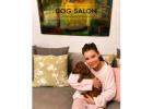 Struggling to find reliable dog grooming near me that actually cares for your furry friend like fami