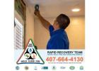 Mold Removal in Orlando