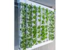 Vertical Farming Conveyor Systems