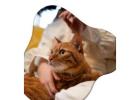Trusted Dog Sitters in Long Beach CA | westcoastpaws