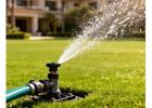 Outdoor Upkeep Ideas for Orlando Property Owners