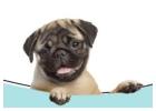 Reliable Pet Sitter San Diego CA | westcoastpaws