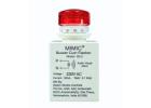 Compact 230V AC Panel Buzzer with Flashing LED