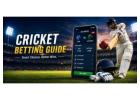 Find the best cricket betting app in India