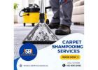 Professional Carpet Shampooing Services in Singapore for a Fresher, Cleaner Home