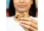 Shop Premium Snack Options Online