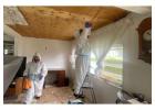 Florida Mold Remediation Services for Homes and Businesses