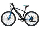 Mountain Electric Bicycle Price: How to Choose the Right Model